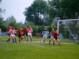 0DIA 1984 RAVA B1
